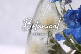 ミルメルシー ハーバリウム『BOTANICAL』