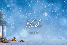 ミルメルシー ハーバリウム『Noel』